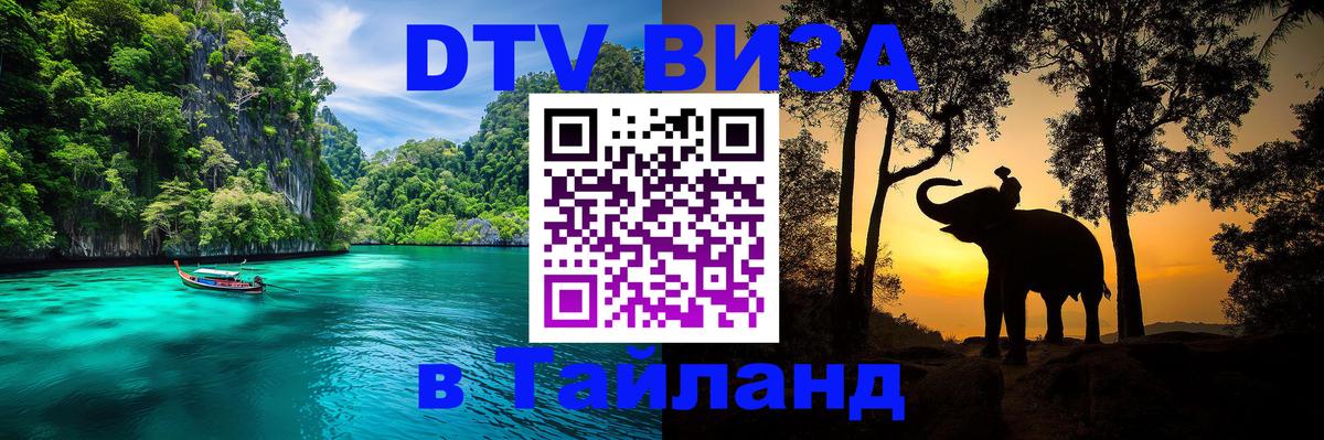 Сколько стоит DTV виза — актуальные цены, оформление даже без документов - 20.11.2025 